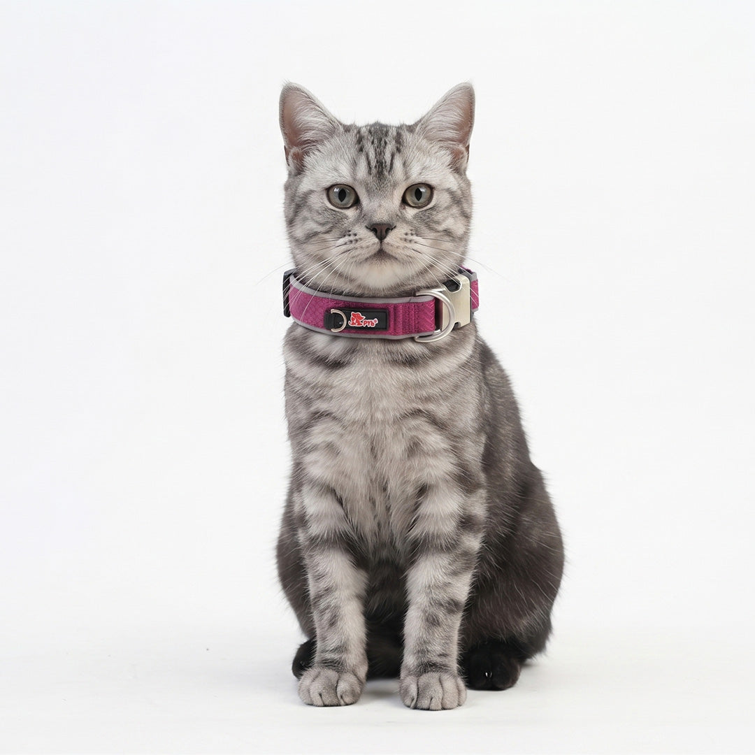 Reflective Nylon Cat & Dog Collar with Metal Buckle and Embroidered Logo Tag (Alternative Name: Durable Pet Collar with Safety Reflective Strip)