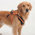 Reflective Orange Rope Dog Harness and Leash Set with Padded Handle