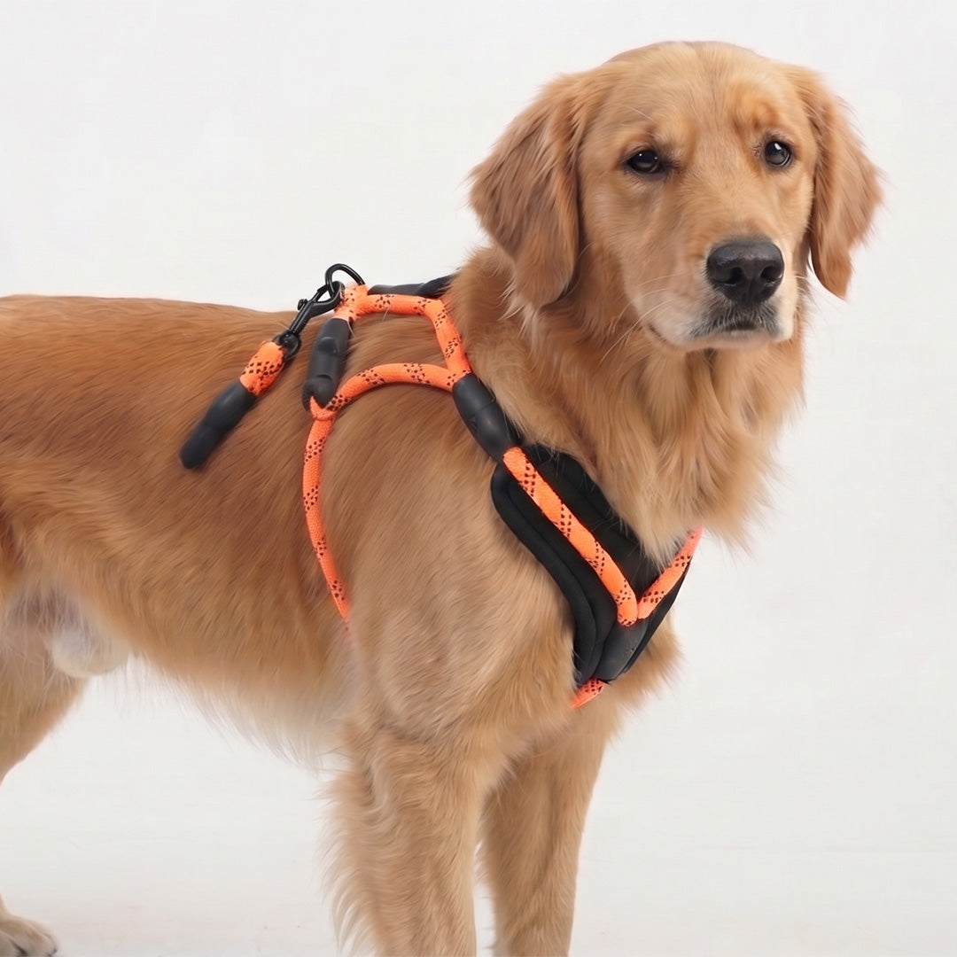 Reflective Orange Rope Dog Harness and Leash Set with Padded Handle