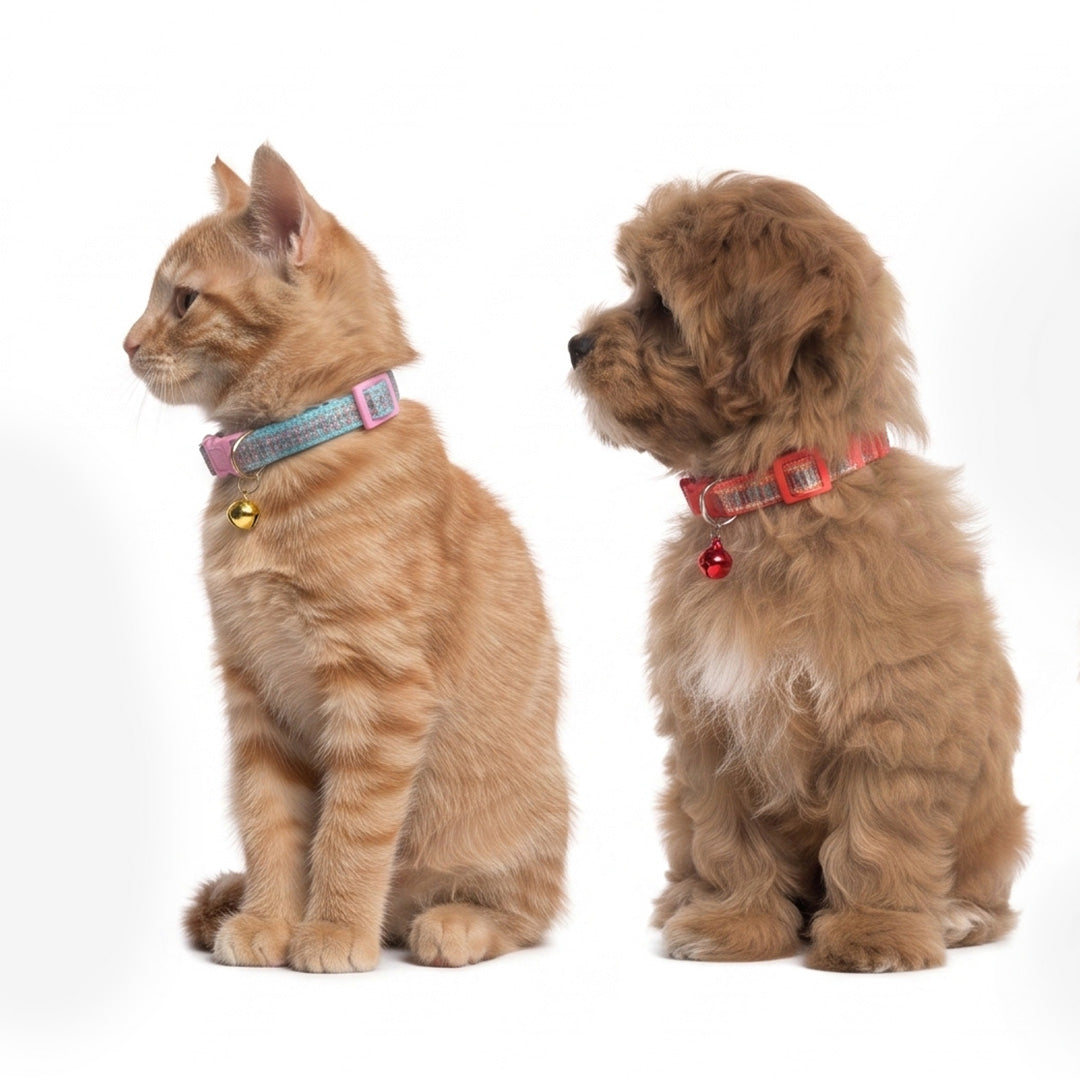 Adjustable Patterned Kitten Collar with Bell (Alternative names: Soft Fabric Cat Collar, Quick-Release Pet Collar with Charm)