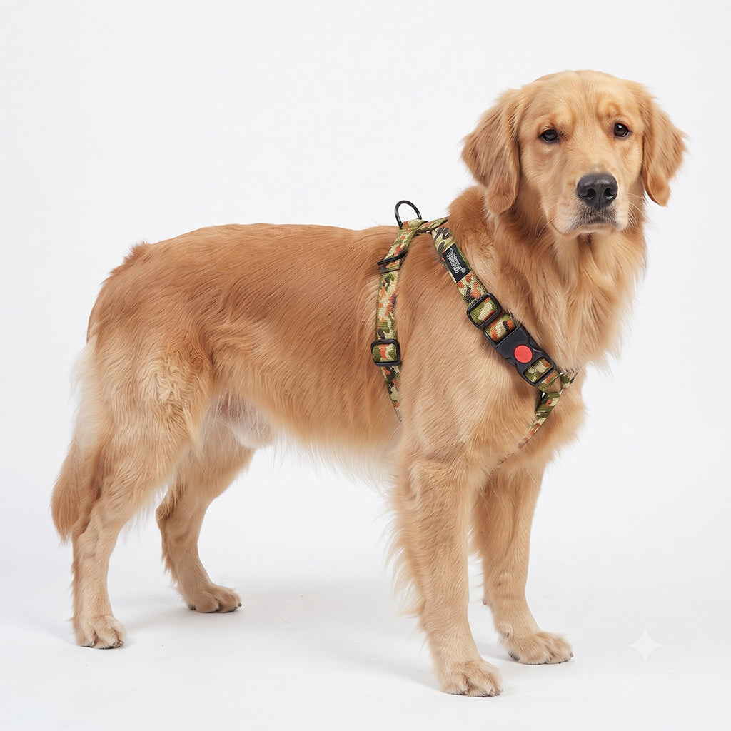 Comfort Explorer Printed Dog Harness with Quick-Release Buckle