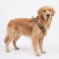 Comfort Explorer Printed Dog Harness with Quick-Release Buckle