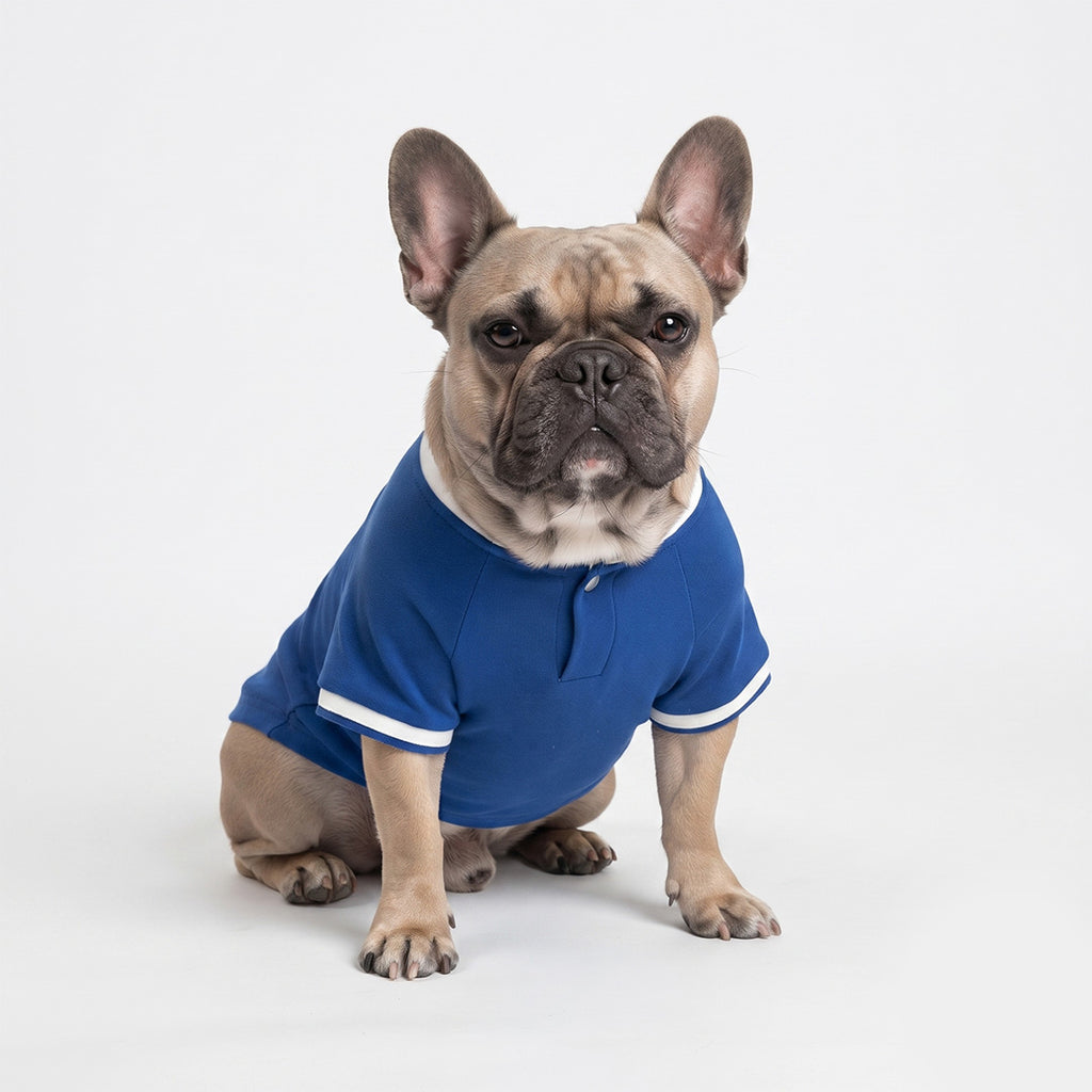 Blue and White Polo Dog Shirt with Striped Details