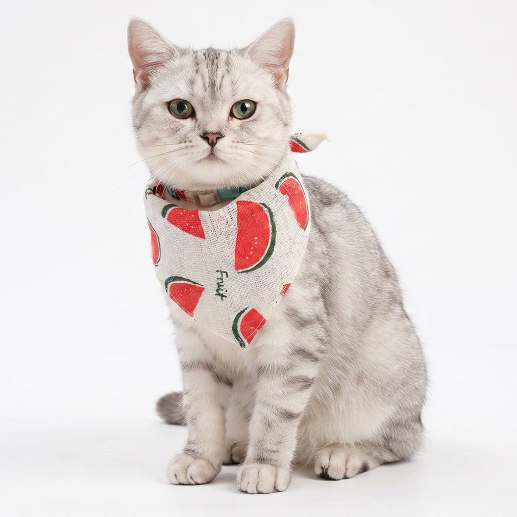 Watermelon Pattern Pet Bandana / Bib Collar