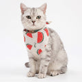 Watermelon Pattern Pet Bandana / Bib Collar