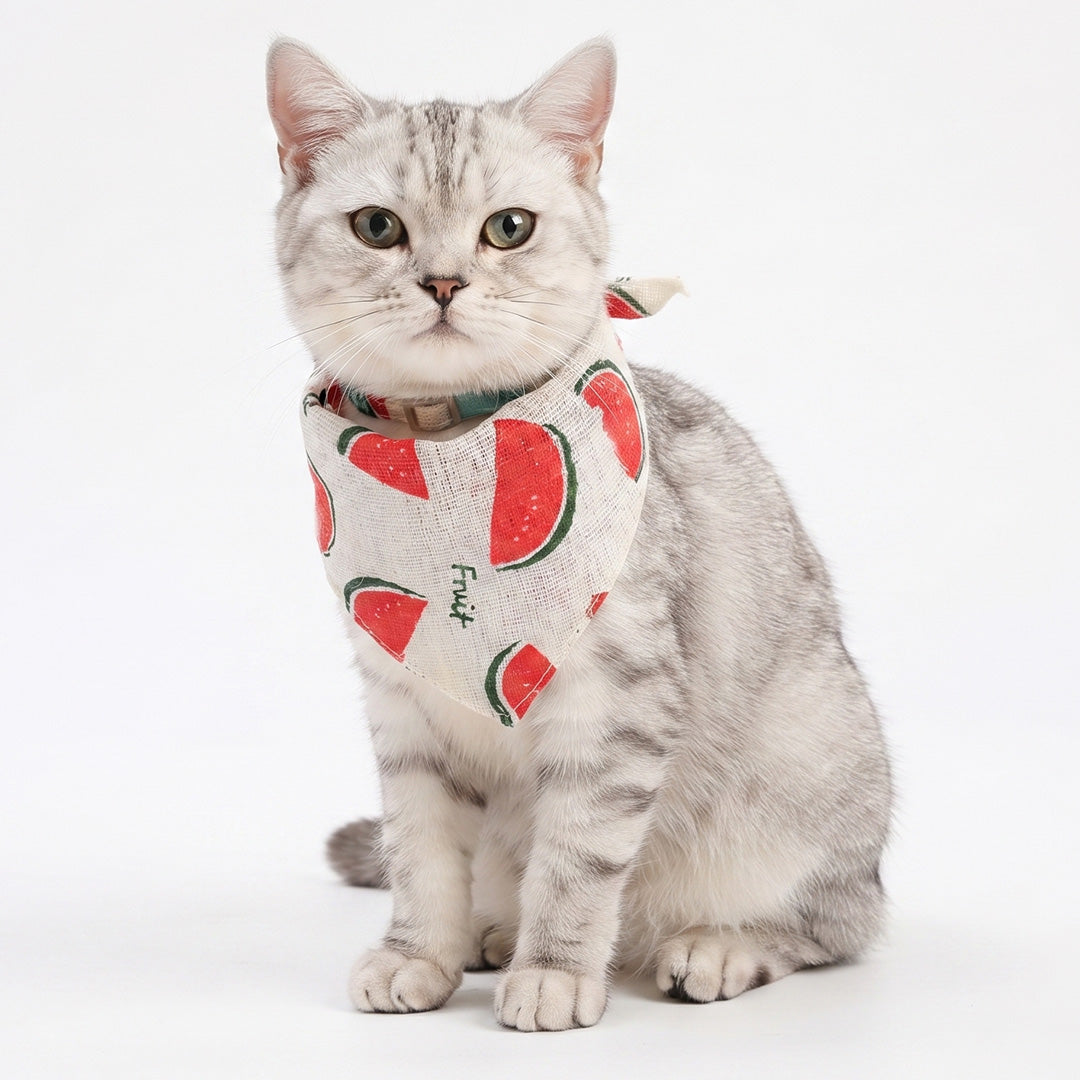 Watermelon Pattern Pet Bandana / Bib Collar