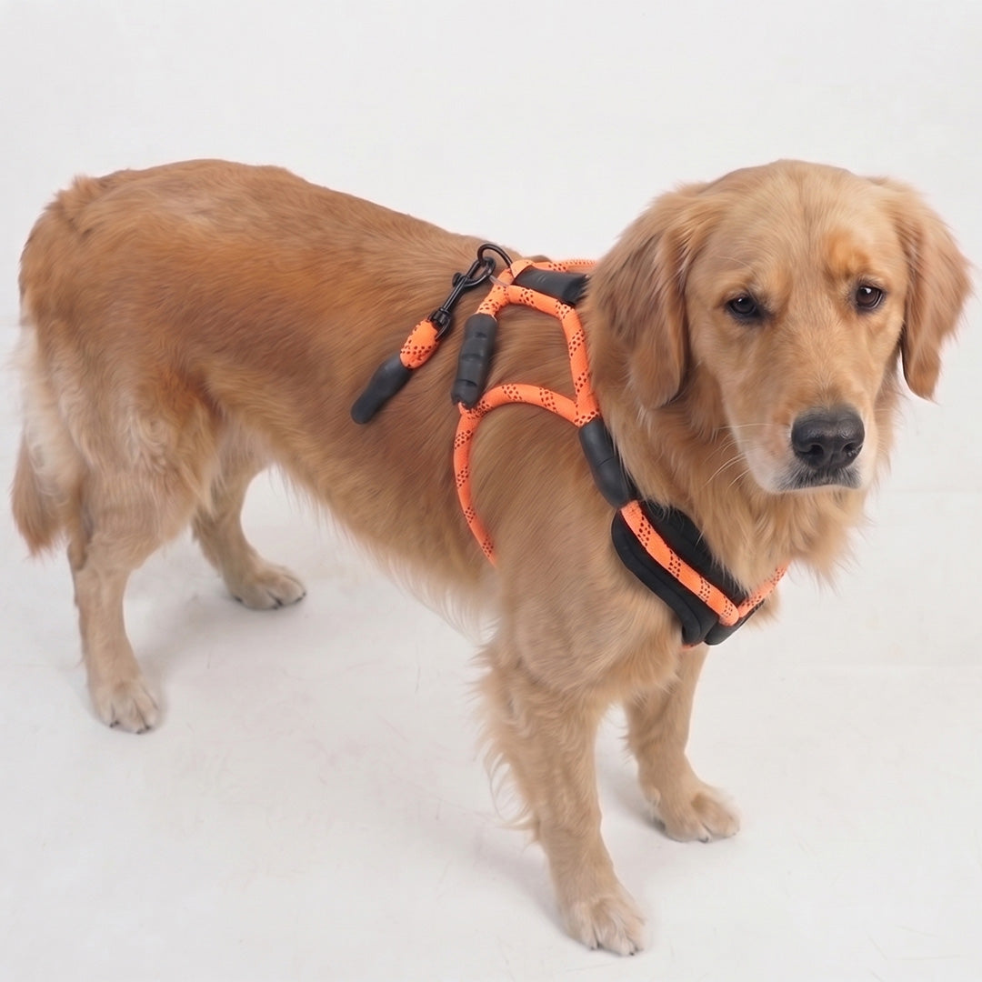 Reflective Orange Rope Dog Harness and Leash Set with Padded Handle