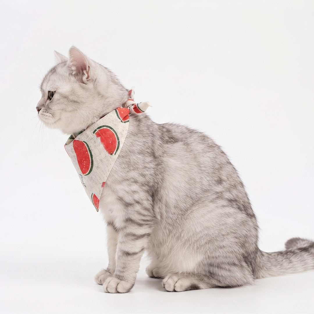 Watermelon Pattern Pet Bandana / Bib Collar