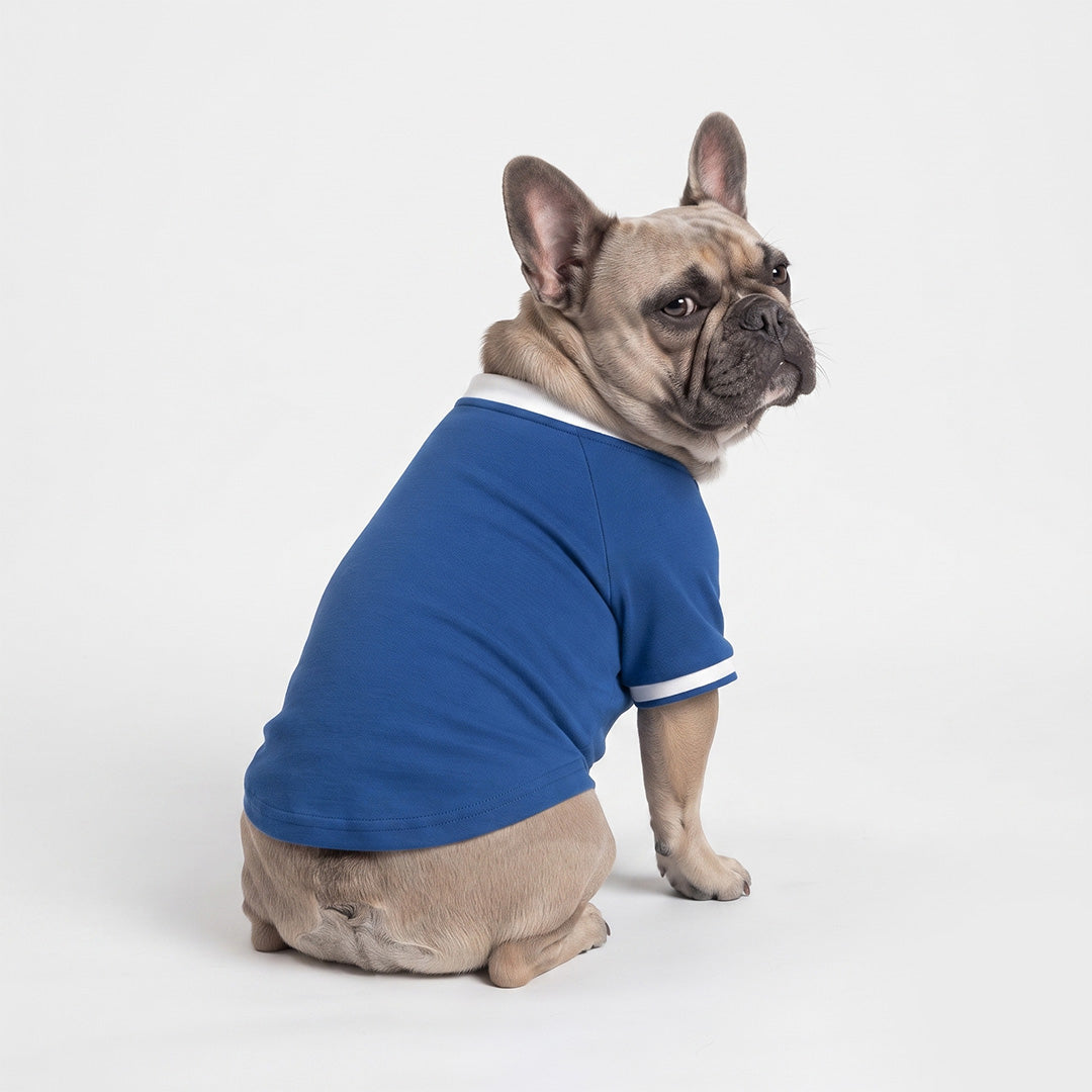 Blue and White Polo Dog Shirt with Striped Details