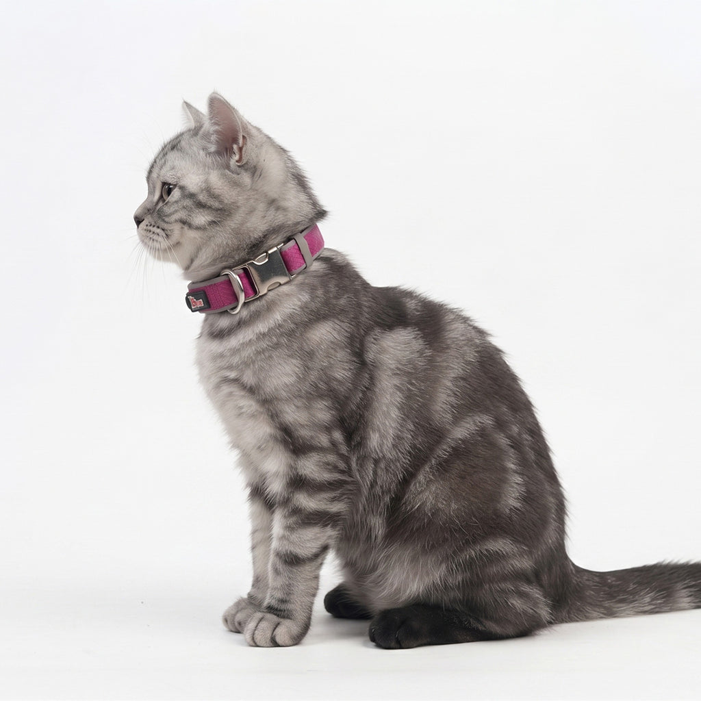 Reflective Nylon Cat & Dog Collar with Metal Buckle and Embroidered Logo Tag (Alternative Name: Durable Pet Collar with Safety Reflective Strip)