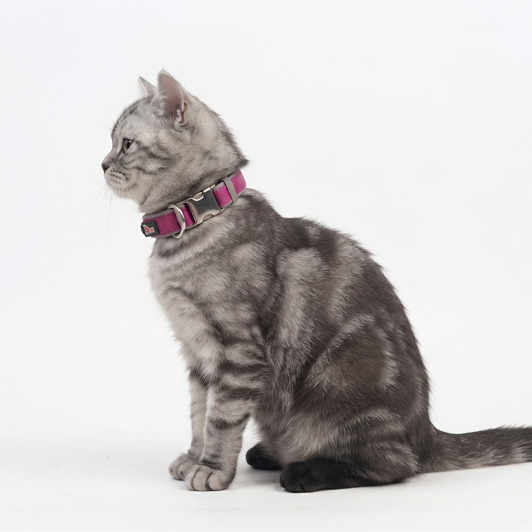 Reflective Nylon Cat & Dog Collar with Metal Buckle and Embroidered Logo Tag (Alternative Name: Durable Pet Collar with Safety Reflective Strip)