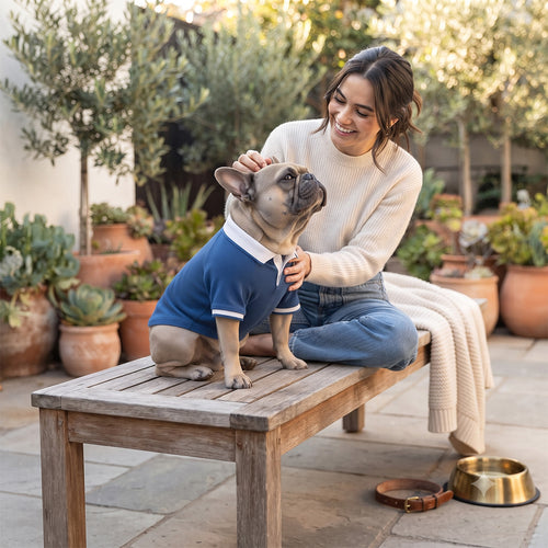 Blue and White Polo Dog Shirt with Striped Details