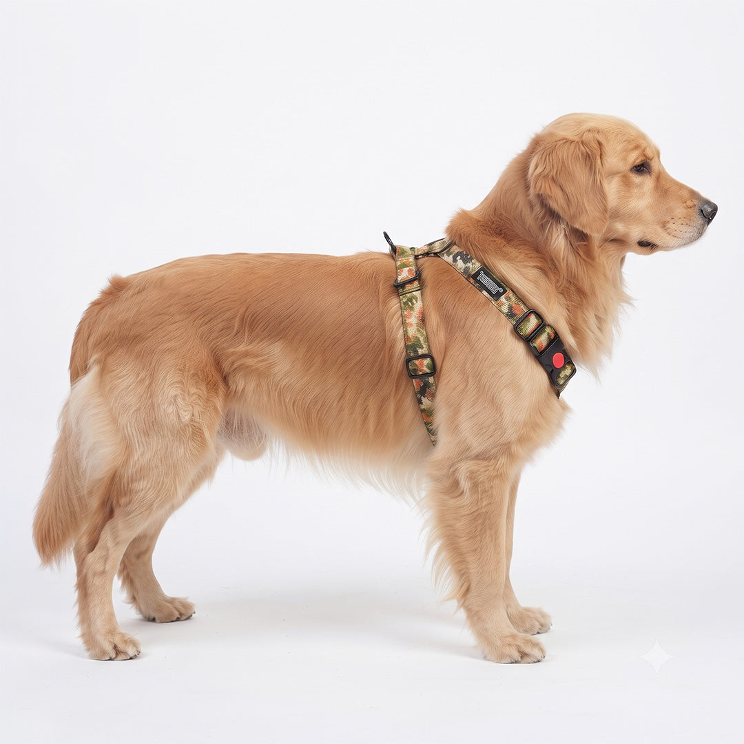 Comfort Explorer Printed Dog Harness with Quick-Release Buckle