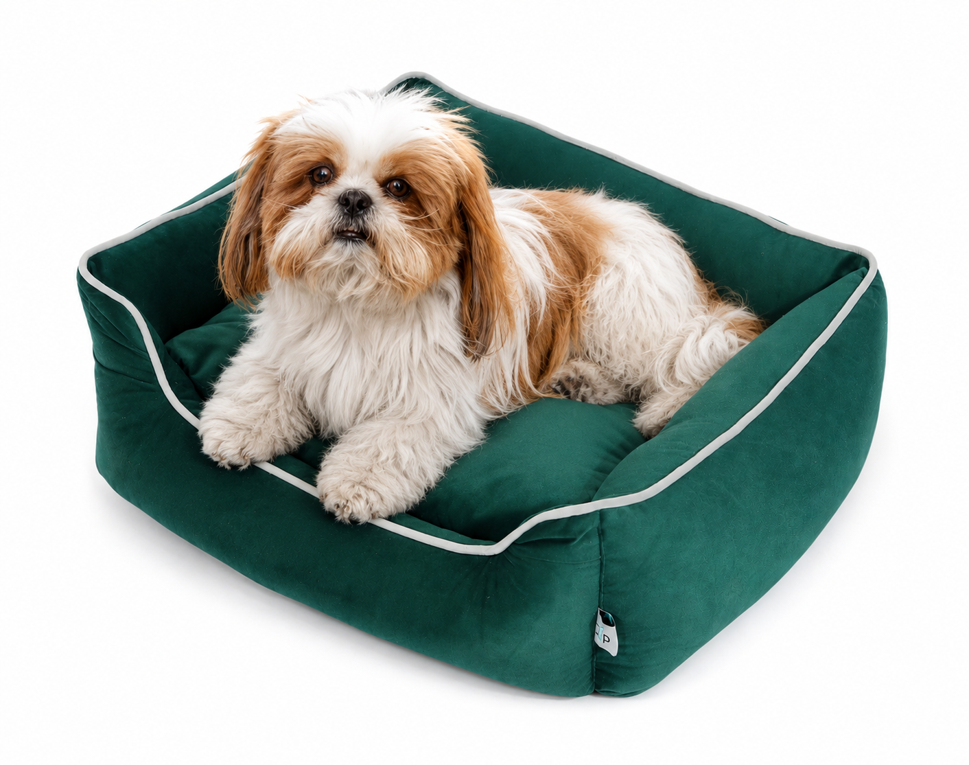 Luxury Orthopedic Pet Bed with Soft Cushion – Comfortable Dog & Cat Sofa Bed (Green)