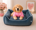 Premium Velvet Orthopedic Dog Bed – Soft Washable Pet Sofa with Raised Bolster Support