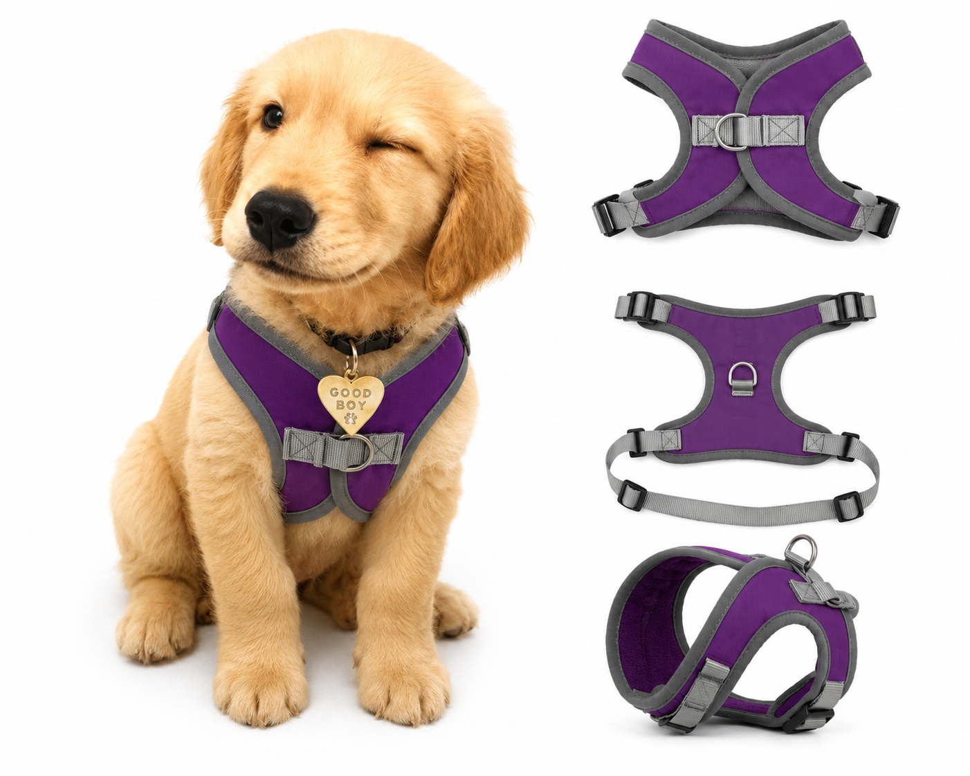 Cute Winking Golden Retriever Puppy – Adorable Pet Companion