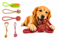 Interactive Rope Dog Toy Set – Durable Chew & Tug Toys for Puppies and Dogs