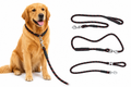 Premium Reflective Slip Lead Dog Leash – Adjustable Training Lead for Medium & Large Dogs  Description: