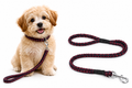 Premium Braided Rope Dog Leash – Strong, Comfortable & Stylish Pet Lead
