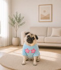 PET T-SHIRT
