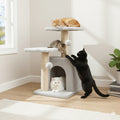CAT SCRATCHER