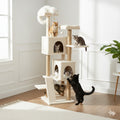 CAT SCRATCHER