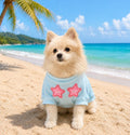 PET T-SHIRT