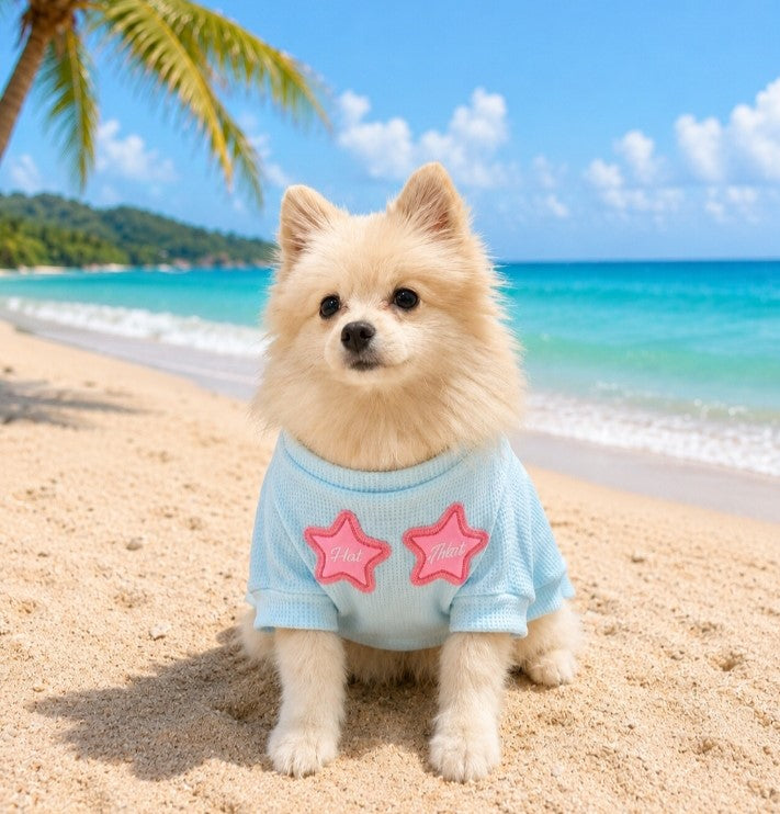 PET T-SHIRT
